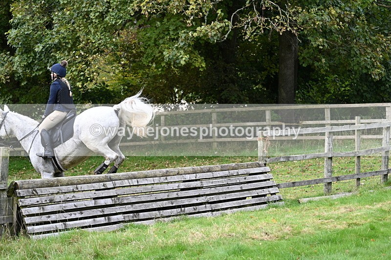 WJ7_4603 - Camera 1 Line 3