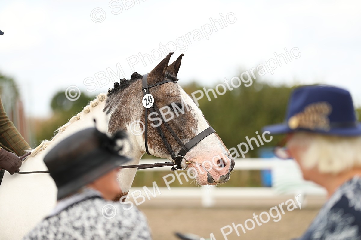 SBM_05237 - Class 47b Style & Performance 60cm (20+)