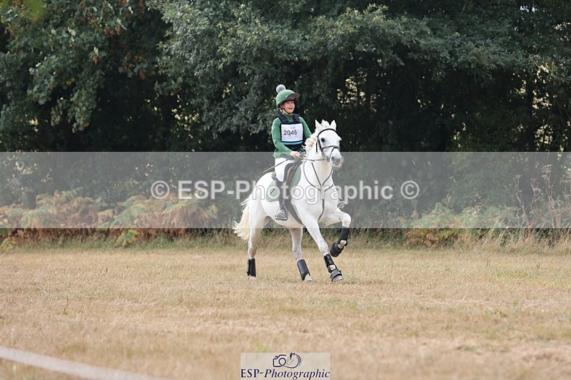 250824A-120520-36593 - 2046-Nancy.Carter-TVs.Rebel