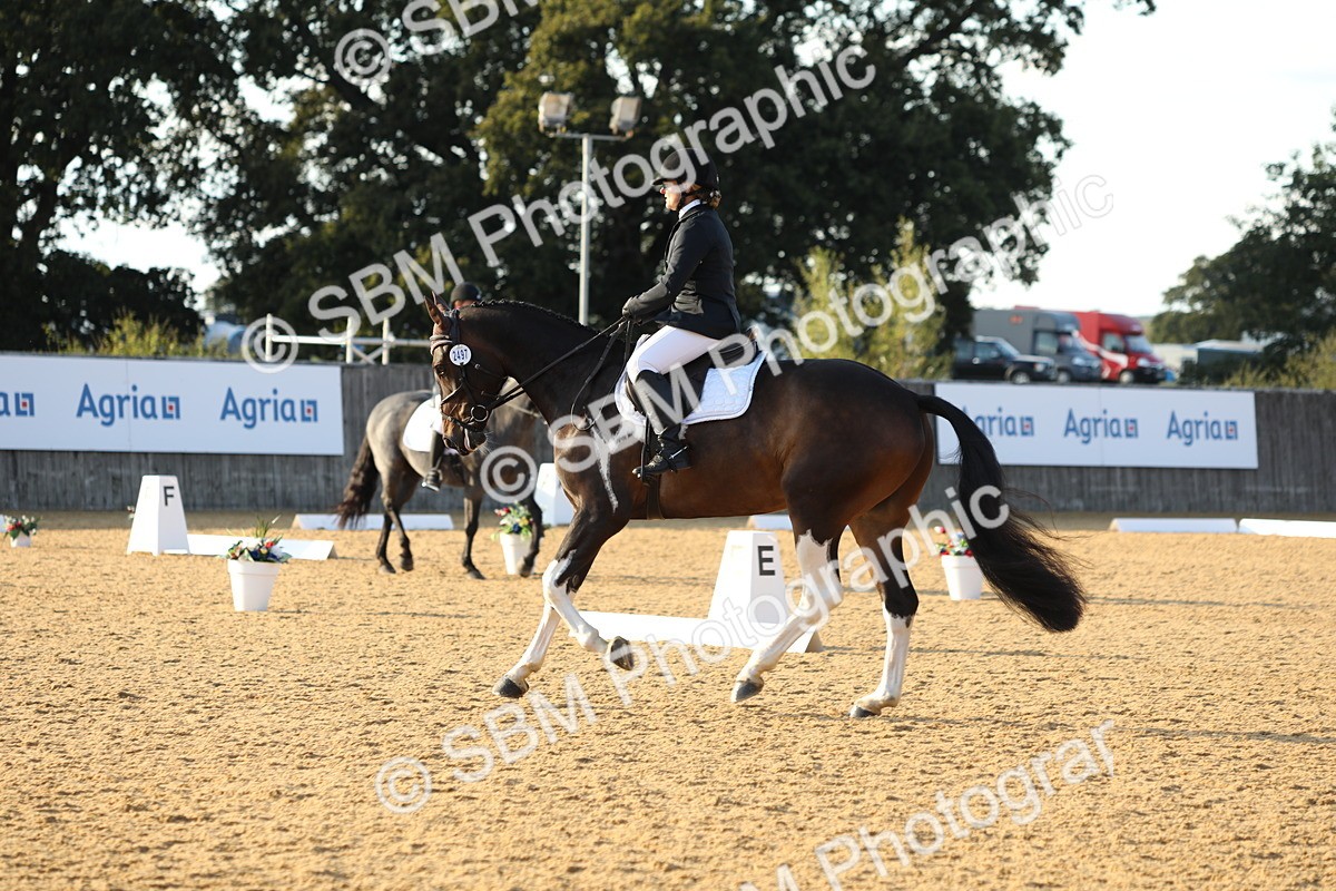 SBM_30368 - D20 - Grand Tour Championship - Elementary 44