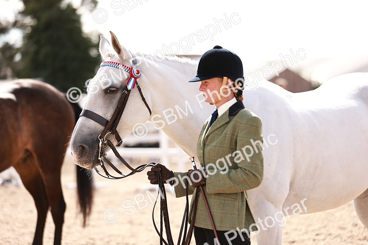 SBM_14208 - Class 407 - IH Hack Riding Horse