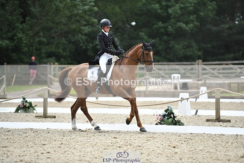 230525-130320-02084 - 113-I'M_A_WONDER-Rosie_Fry-WEDTrotUp+DR