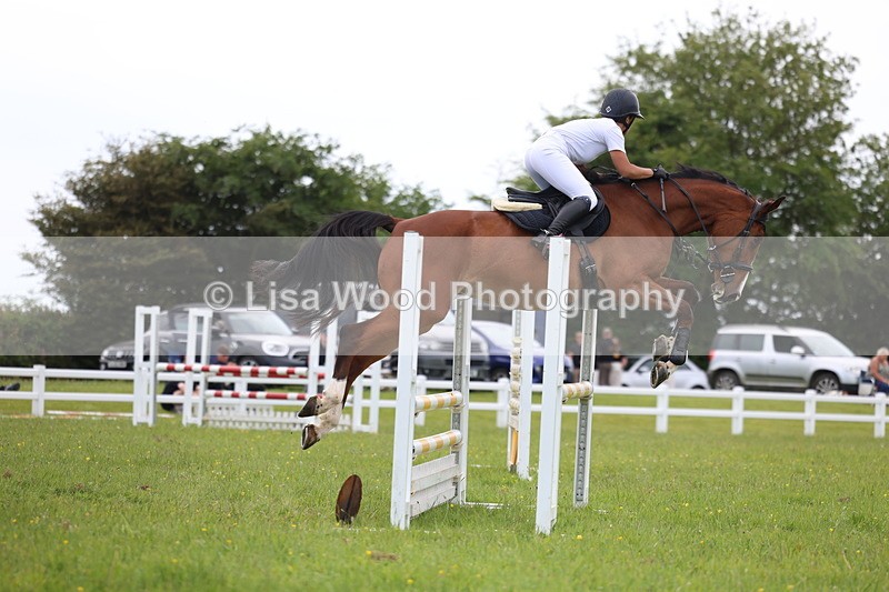 3E7A1789 - Class 13: Senior British Novice/90cm open
