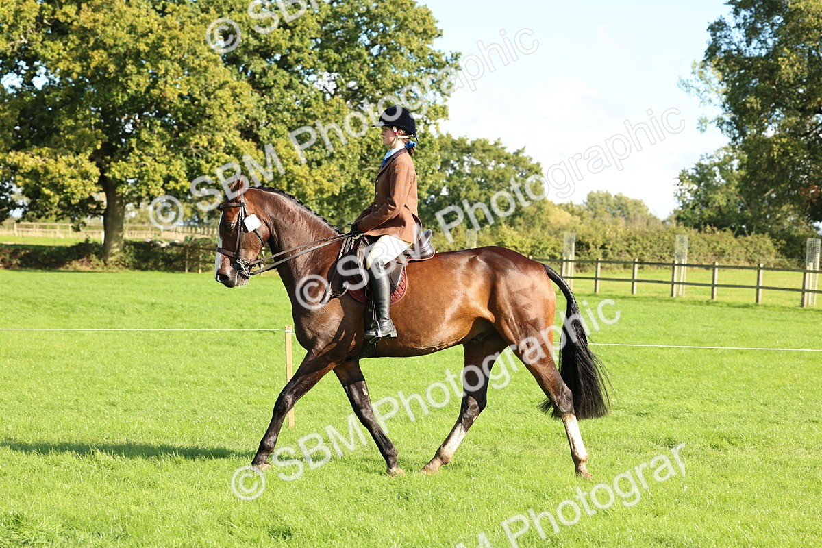 SBM_50114 - S34 - Novice & Newcomers Working Hunter