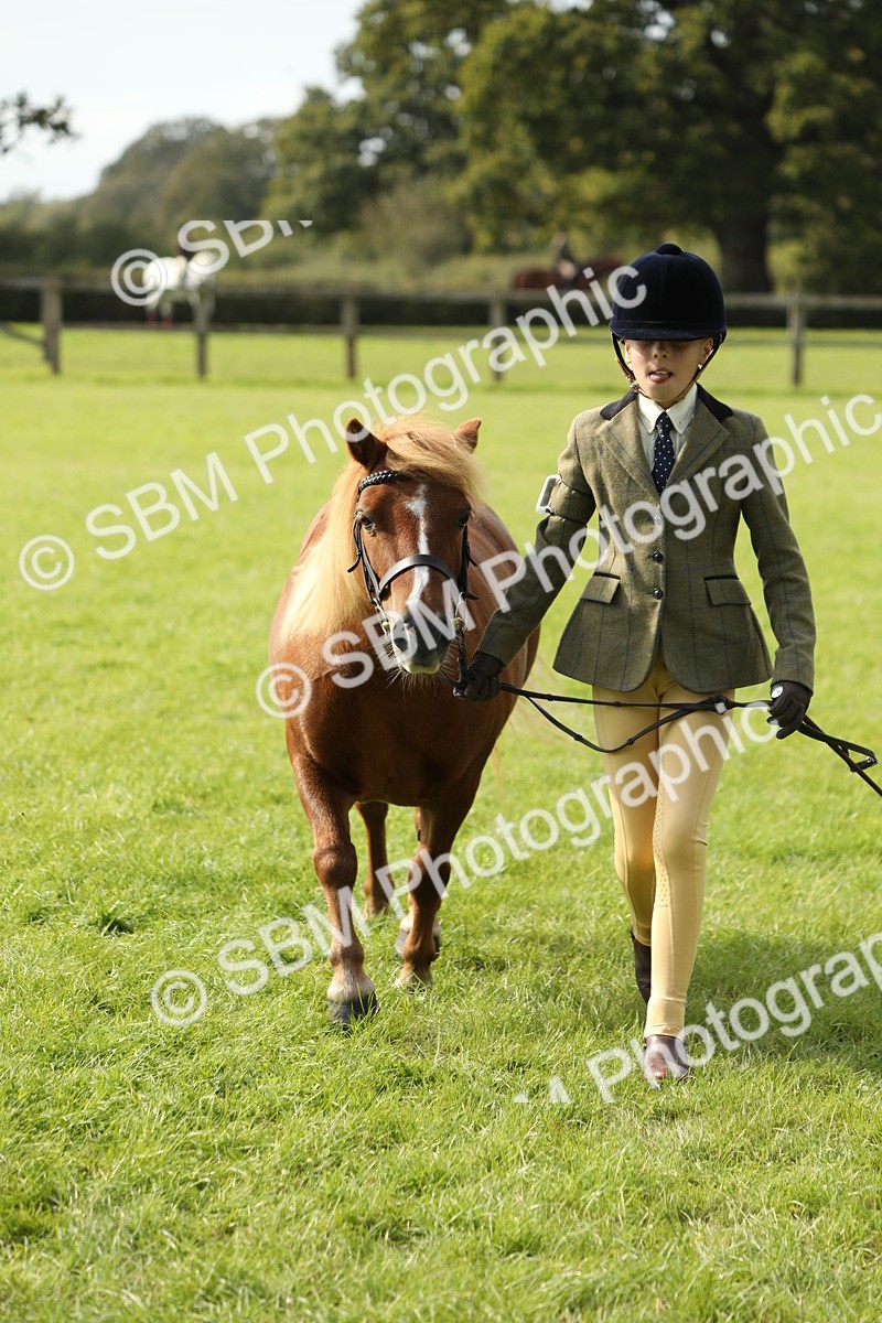 SBM_68652 - S40 - Junior Handler 9-12 Years