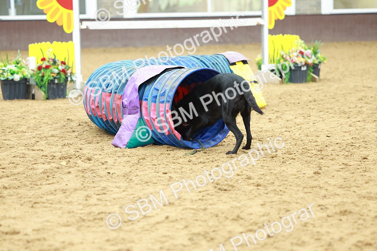 SBM_002579 - Class 3 - Horse & Hound (60cm)