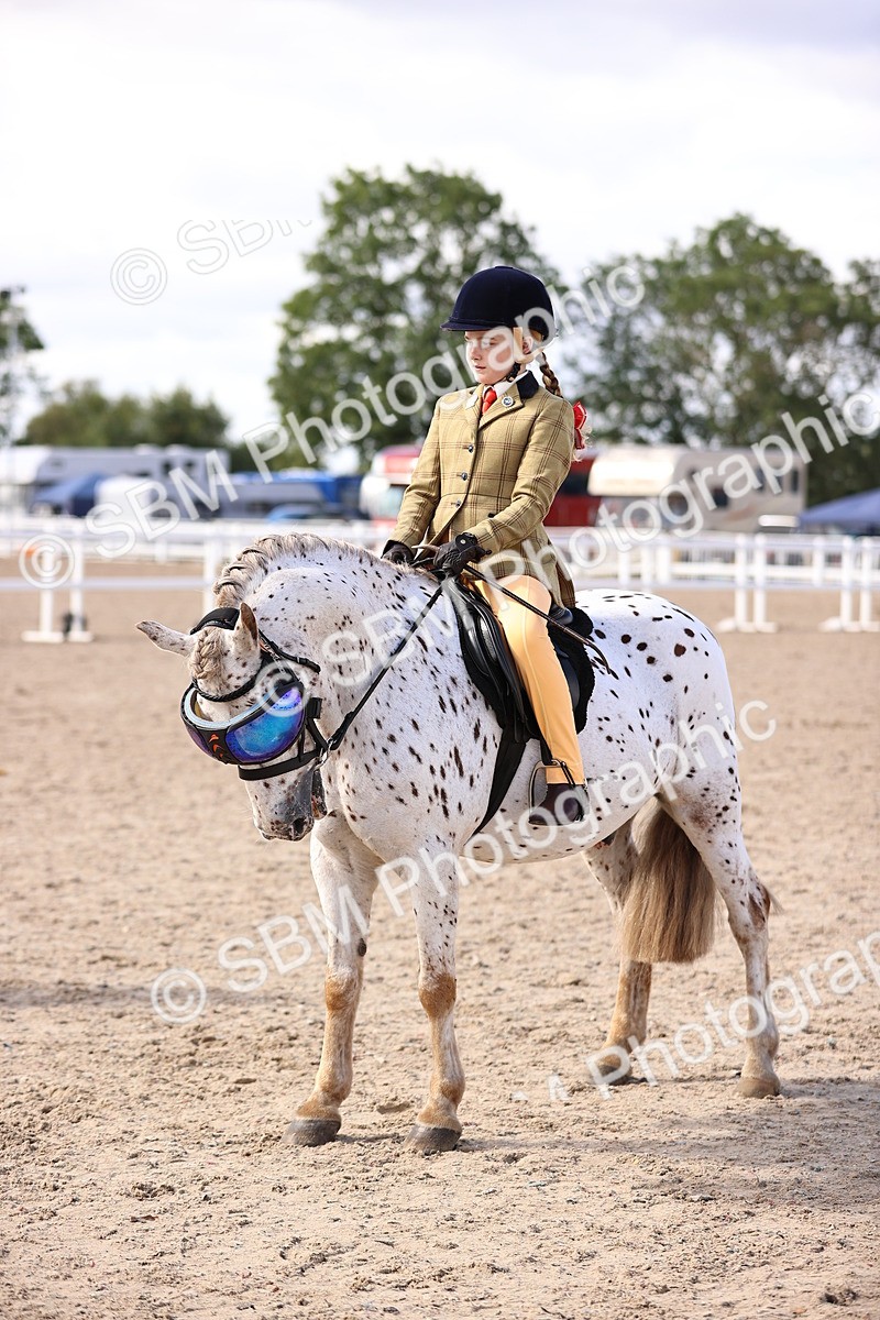 SBM_12855 - Class 409 - Grassroots Ridden - Pony