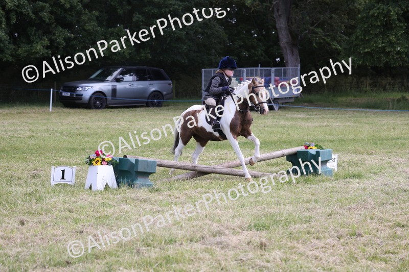 20260614-0676 - Class 20 - Beginners Working Hunter Pony