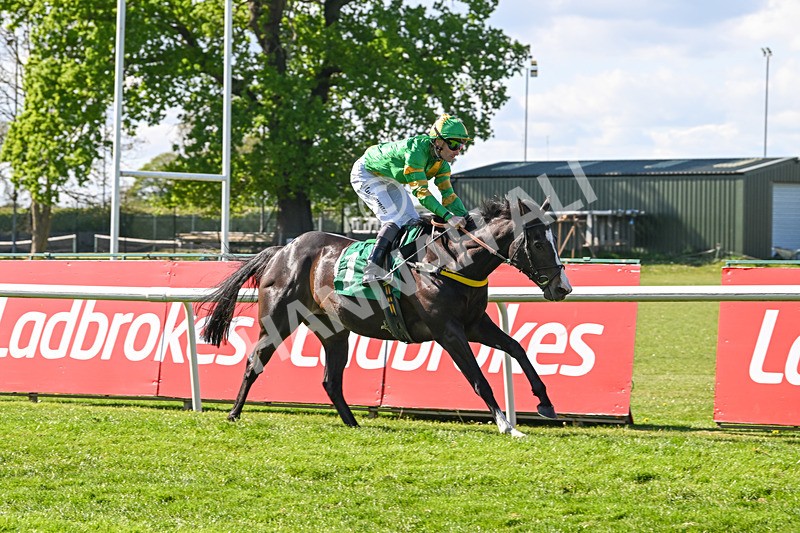 030525-Race 5-Savrola-3248 - Race 5