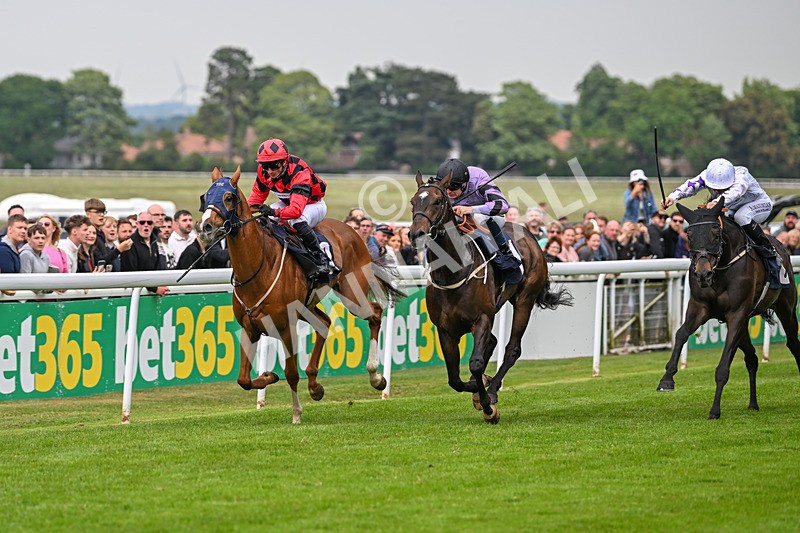 240525-Race 7-Union Island-2134 - Race 7