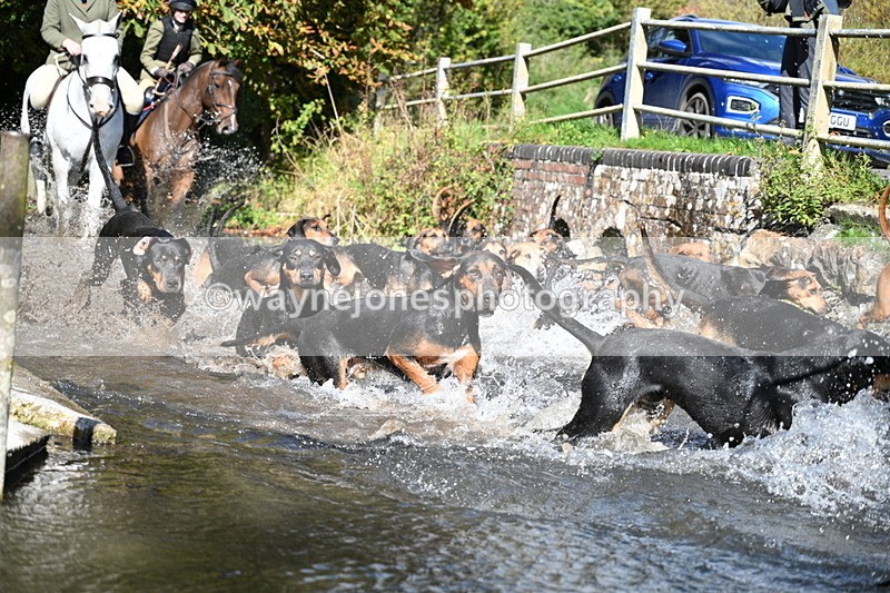 WJ7_5975 - Hounds Water Crossing