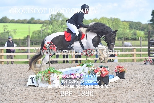 BPP_1880 - DERBY CLASS 5 - 60CM