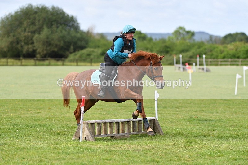 WJ5_2304 - Class 2 40cm