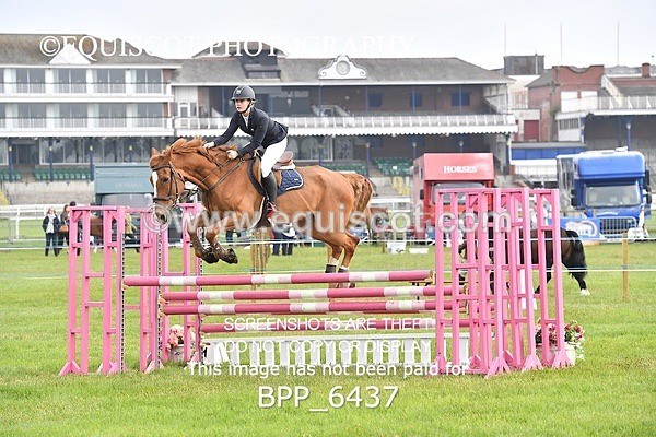 BPP_6437 - CLASS 1 Senior Newcomers/ 1.10m Open