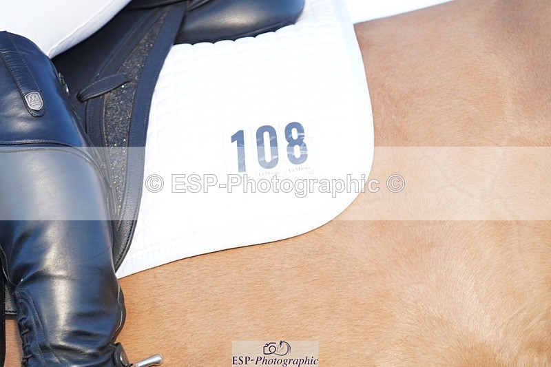 241214-102446-00166 - 108-Pippa.Knight-KFS.Boston.Burglar