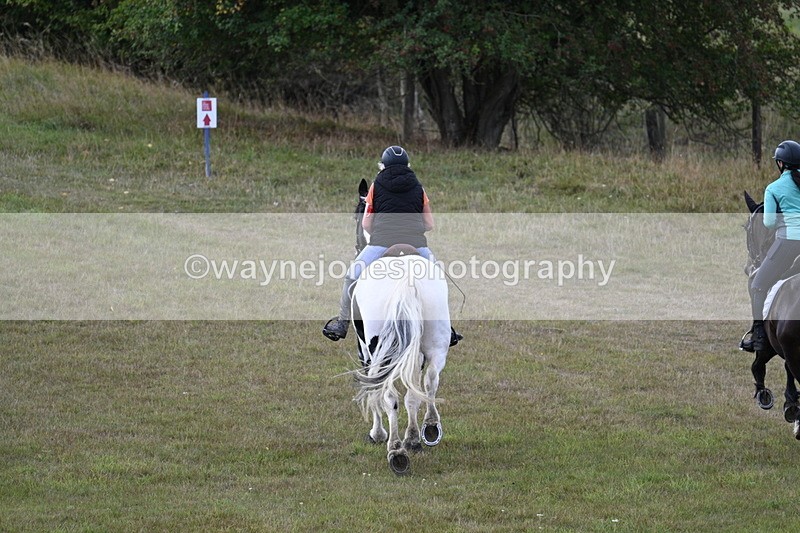 WJ7_5379 - Time 11:22 to 11:41