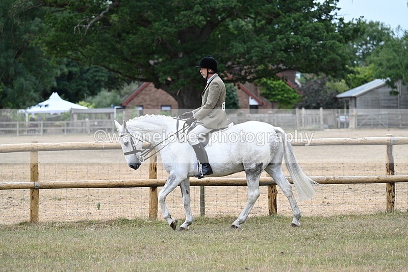 WJ7_0785 - Class 7 Riding Club Show Horse