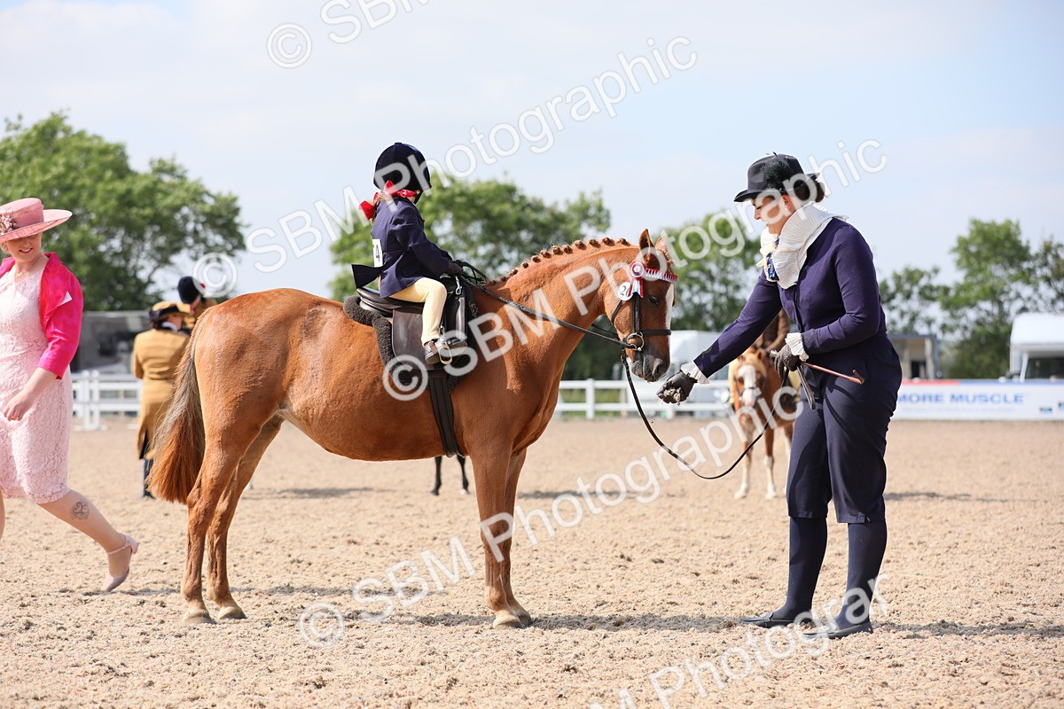 SBM_13992 - Class 309 Lead Rein Pony
