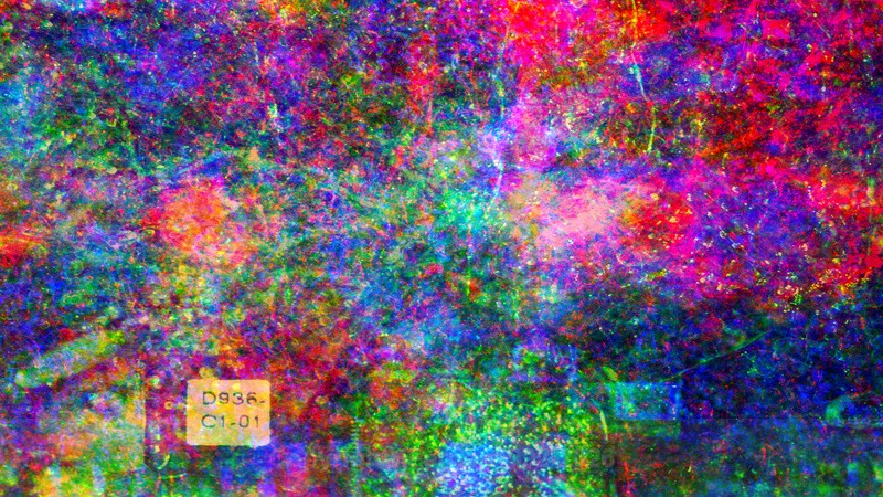 EXCHANGE XV - EXCHANGE 2021