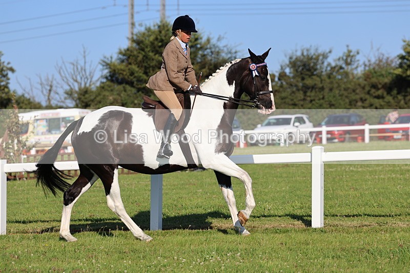 IMG_1221 - Class 27: Ridden Plaited Coloured Horse