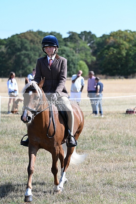 WJ7_4015 - Class 9 Mountain & Moorland Ridden