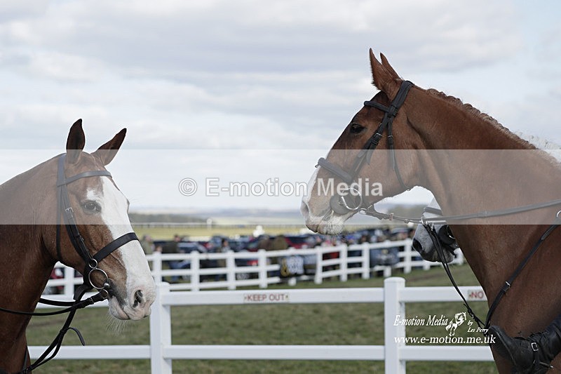 PtP 260223 769 - South & West Wilts Point-to-Point Larkhill 26/02/23