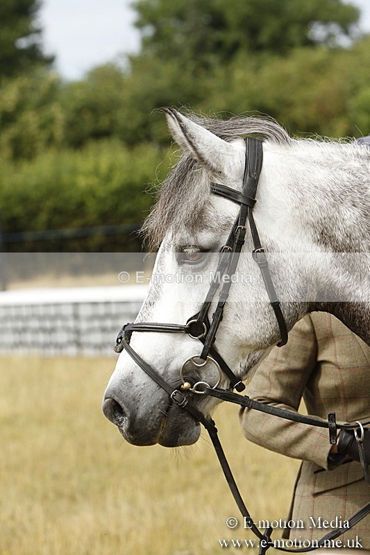 _BS_0582 - BVRC Show 2018 Ring 3