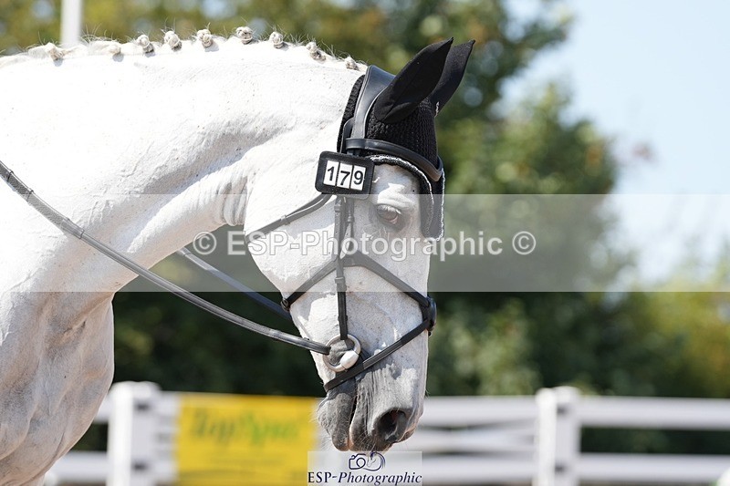 250817-134525-10496 - 179-Kate.WilliamsGhyllwood.April.Moment