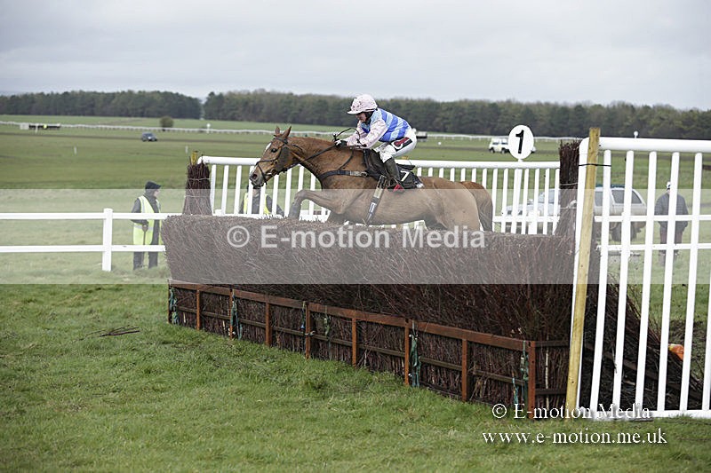 PtP 150320 0433 - New Forest Point-to-Point Larkhill 15/03/20