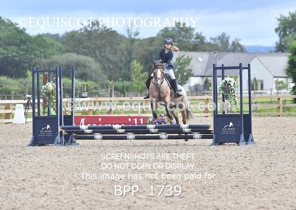 BPP_1739 - DERBY CLASS 4 - 50CM