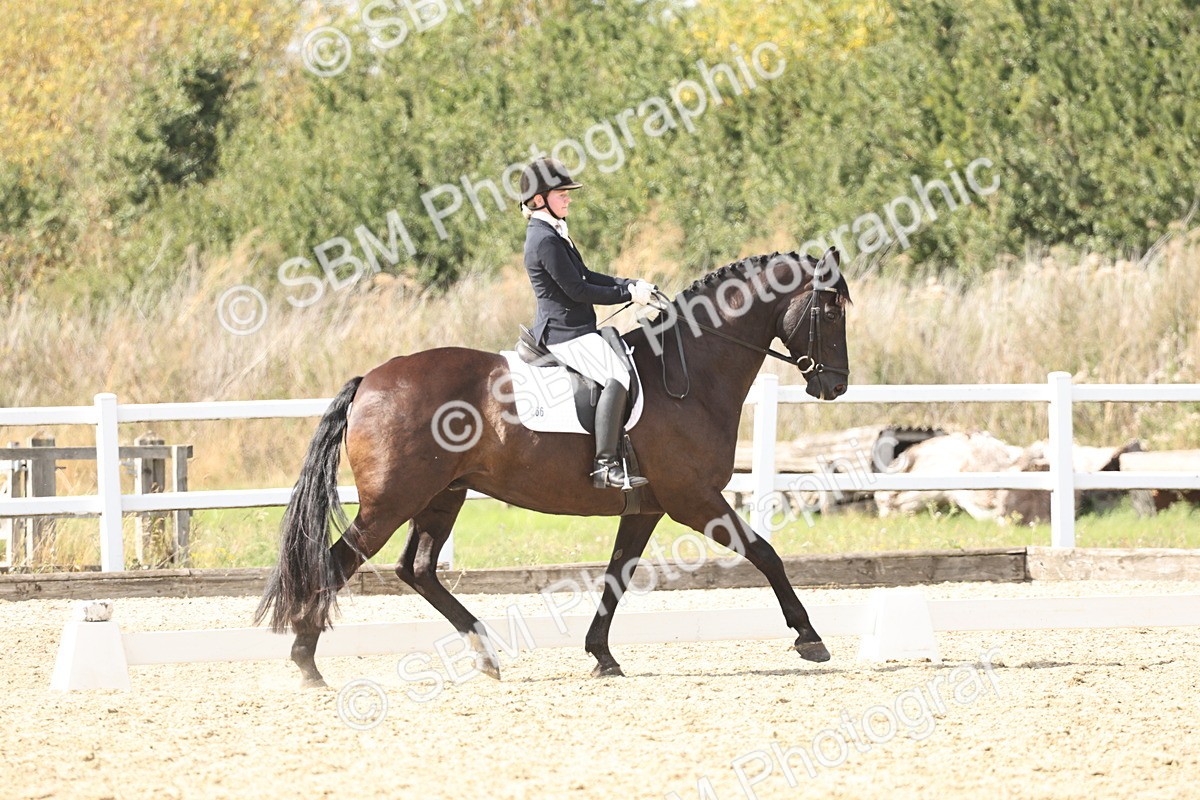 SBM_014865 - Class 7 - Medium 3