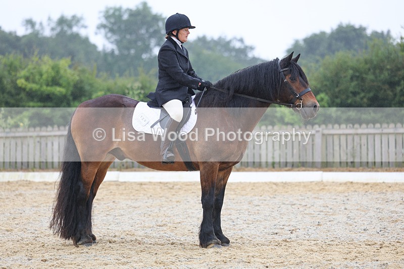 3E7A8177 - Class 1: Intro 3 2024 section A