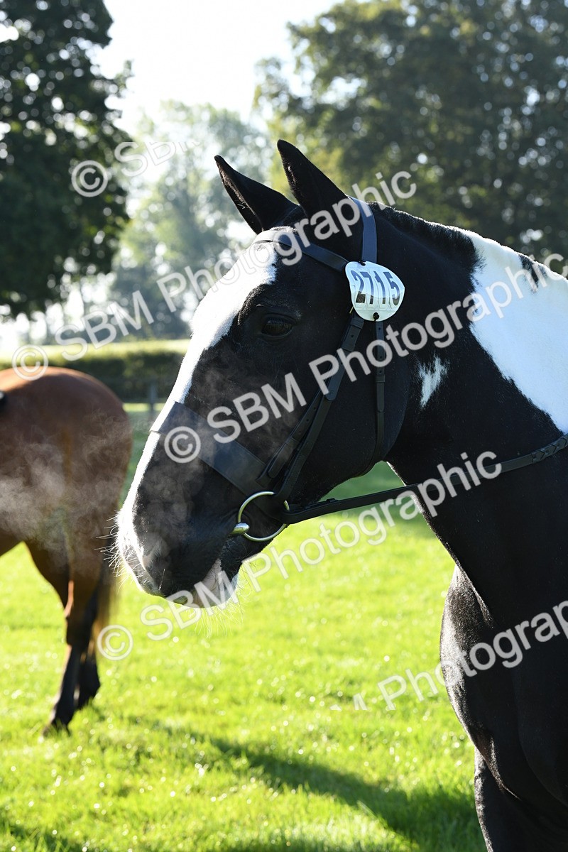 SBM_34046 - S16 - Condition & Turnout - Ridden