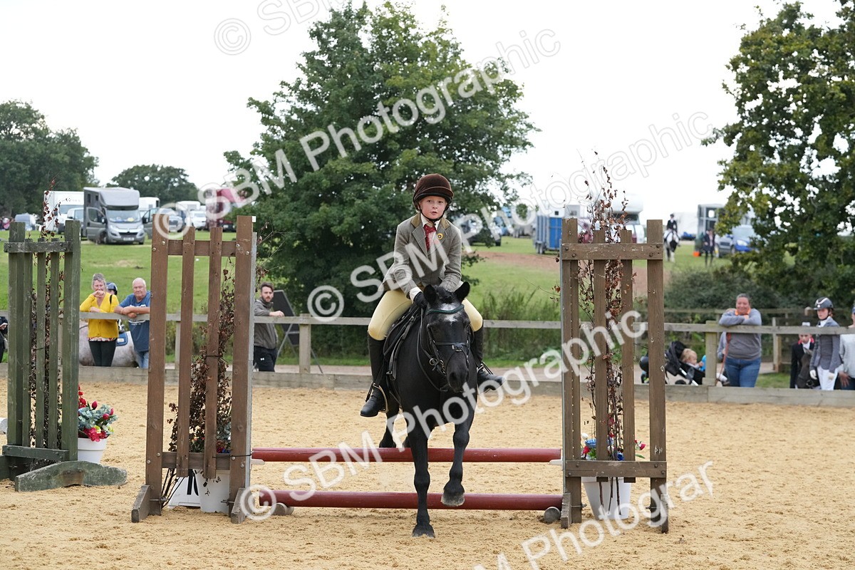 SBM_74554 - J4 - Mini Tour Junior Pony 45cm Championship