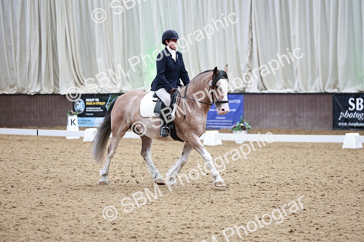SBM_014218 - Class 7 - Ele FSM Bronze 12.12.13.08