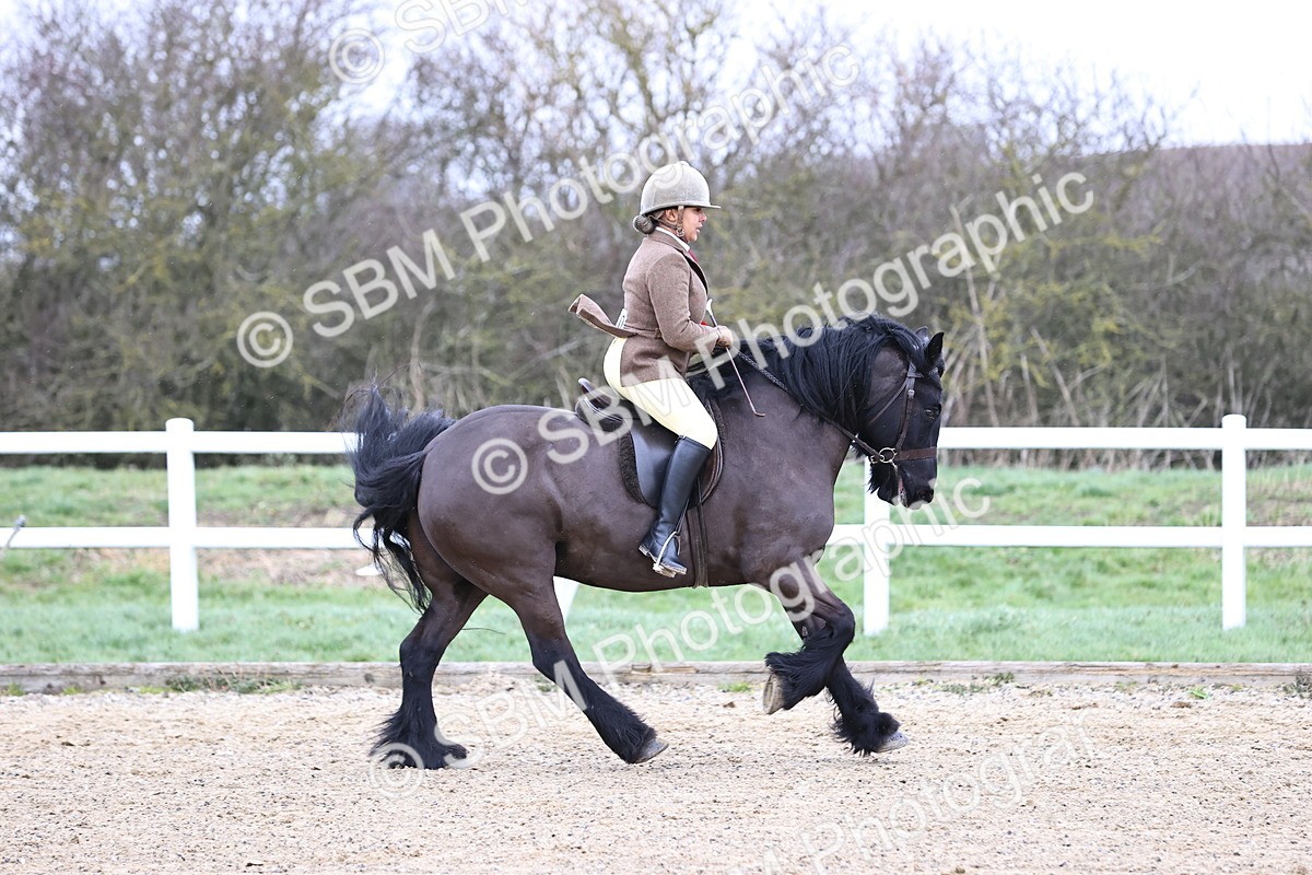 SBM_007042 - Class 29 - 30 - M&M Pure Novice Small-Large Breeds