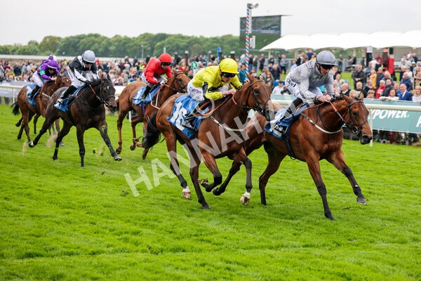 yr13052022r1-32 - Race 1 1.50pm Knights the new name for Langleys British EBF Marygate Fillies' Stakes