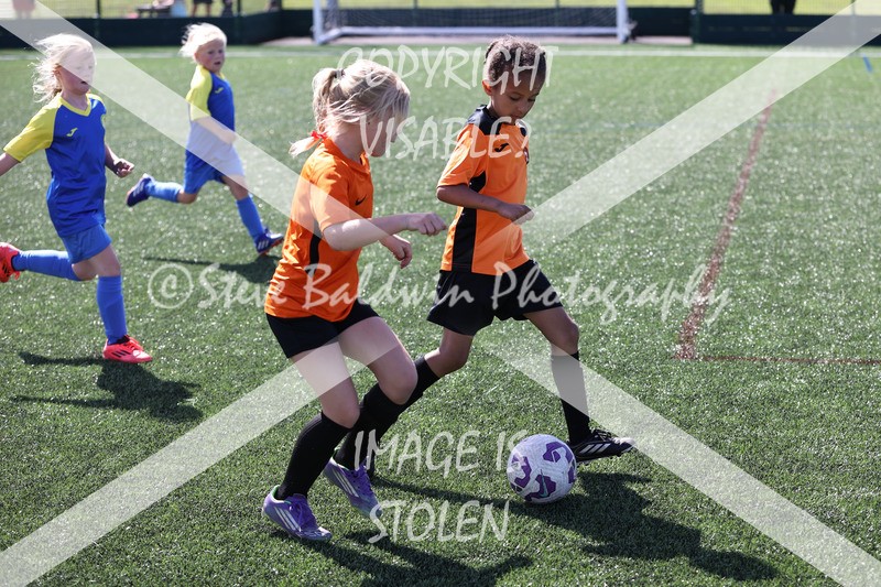 1DX33357 - Sat 13th U7 & U8 Girls