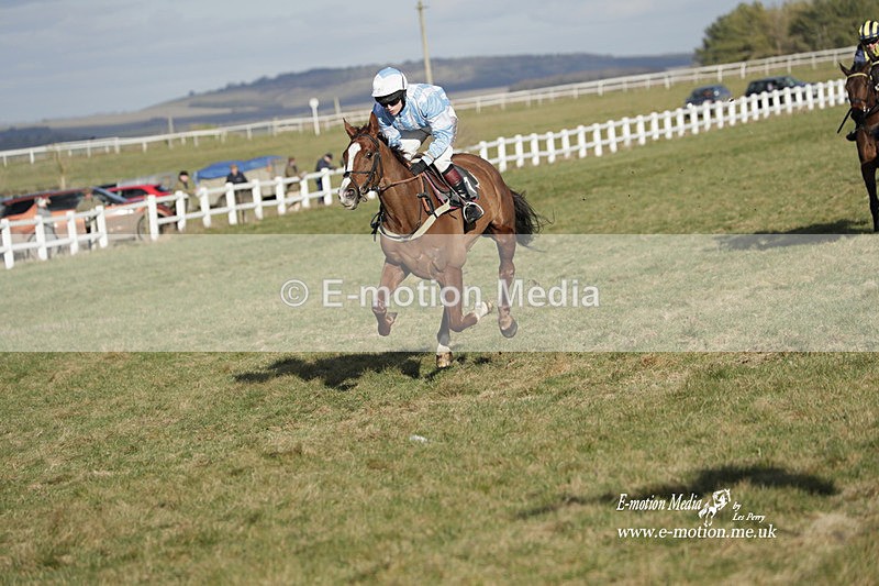 PtP 260223 1201 - South & West Wilts Point-to-Point Larkhill 26/02/23