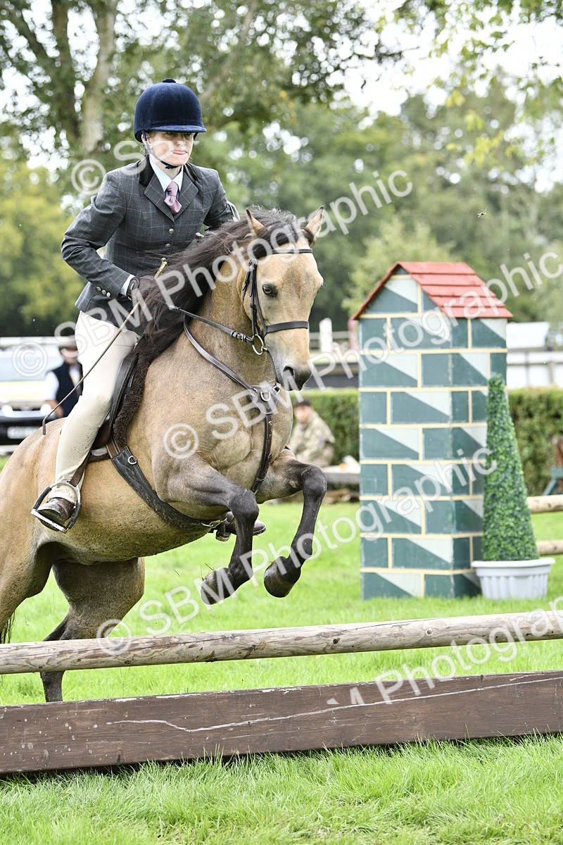 SBM_41355 - S32 - Mountain & Moorland Working Hunter Pony