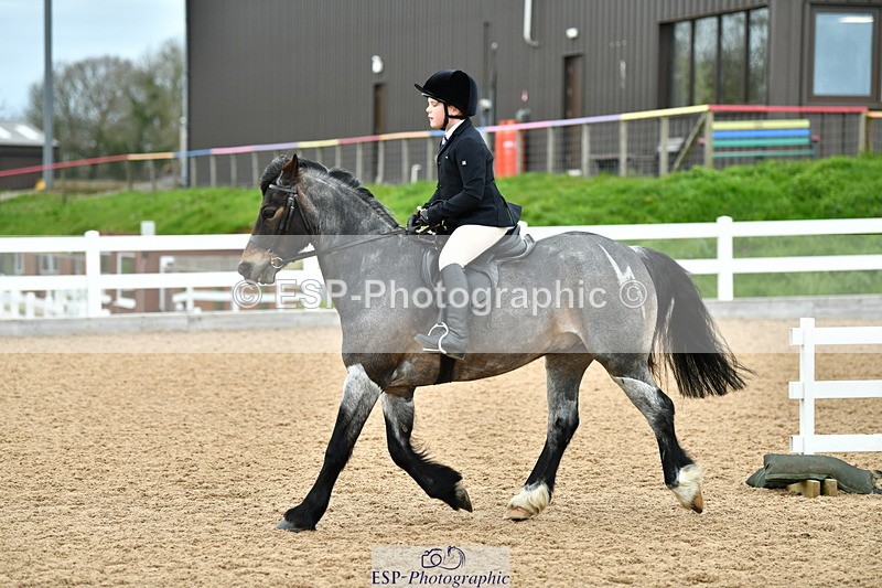 230416A-100617-03300 - Cls 56 Young Rider