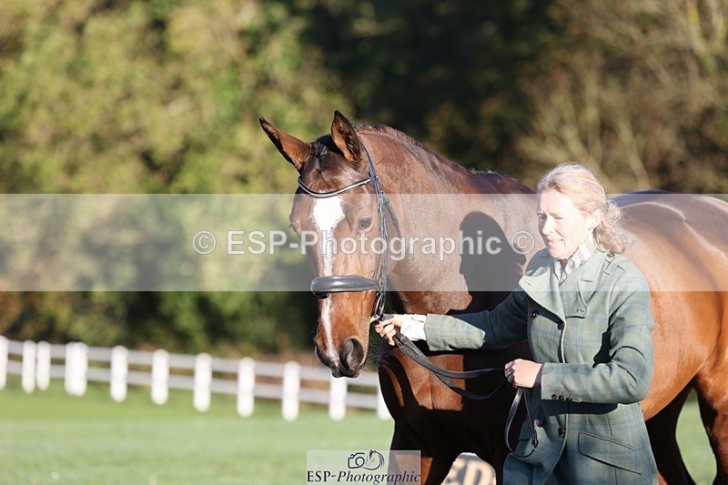 241027-083731-14705 - 378-Fern.Hordern-SHES.ALL.THAT