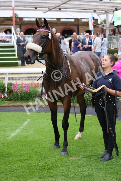 yr22072022r4-64 - Race 4 6.50pm The IRE Incentive It Pays To Buy Irish EBF Restricted Novice Stakes