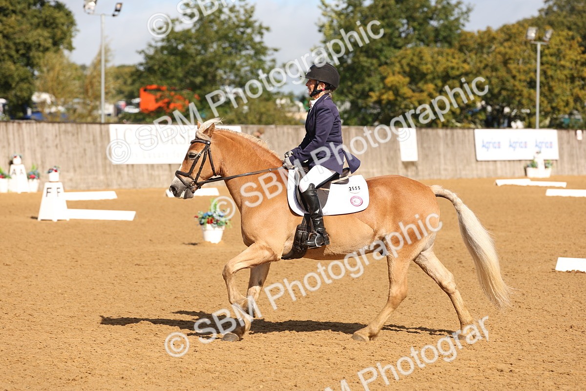 SBM_37685 - D18 - Grand Tour Championship Novice 2