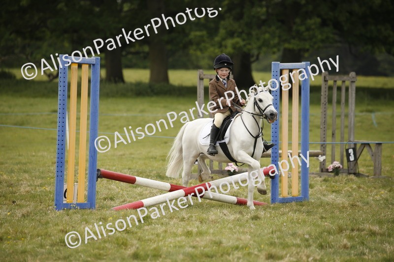 20250517-0879 - Class 2 - 30cm Off Lead Rein
