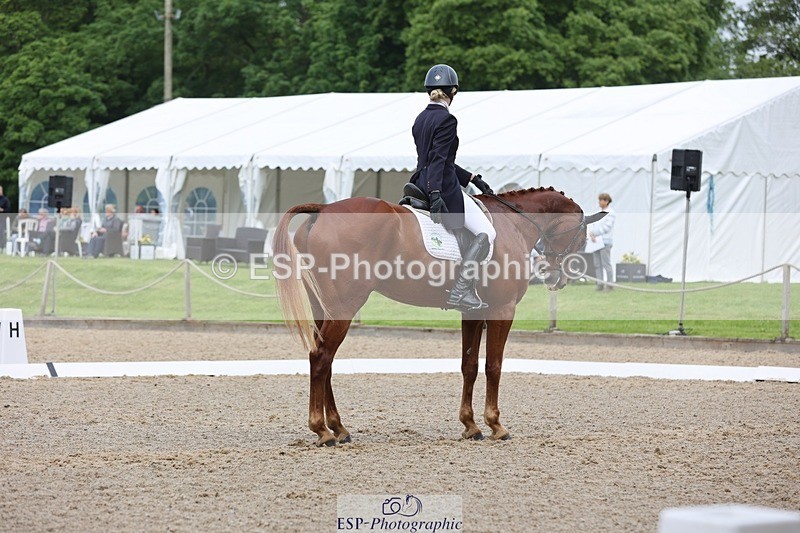 240523-102621-03310 - 212-RIVERSTOWN_ROYAL-Georgie_Frow