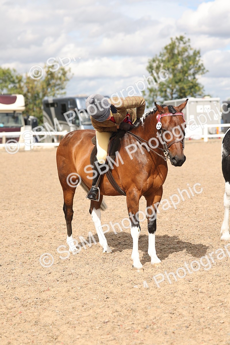 SBM_14681 - Class 307 - Ridden Coloured Pony
