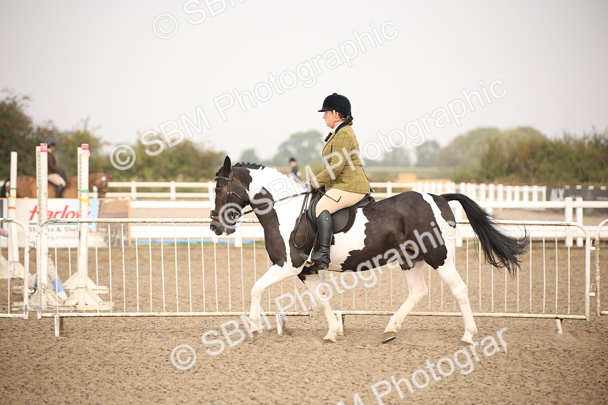 SBM_09702 - Class 401 Riding Club Pony