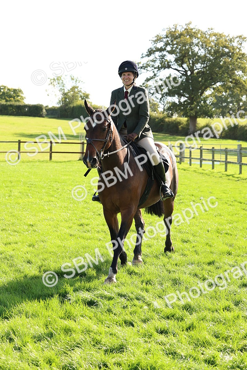 SBM_50137 - S34 - Novice & Newcomers Working Hunter