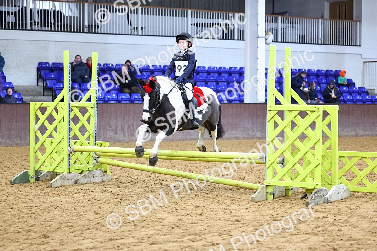 SBM_001294 - Class 3 - Christmas Tree Stakes - 60cm